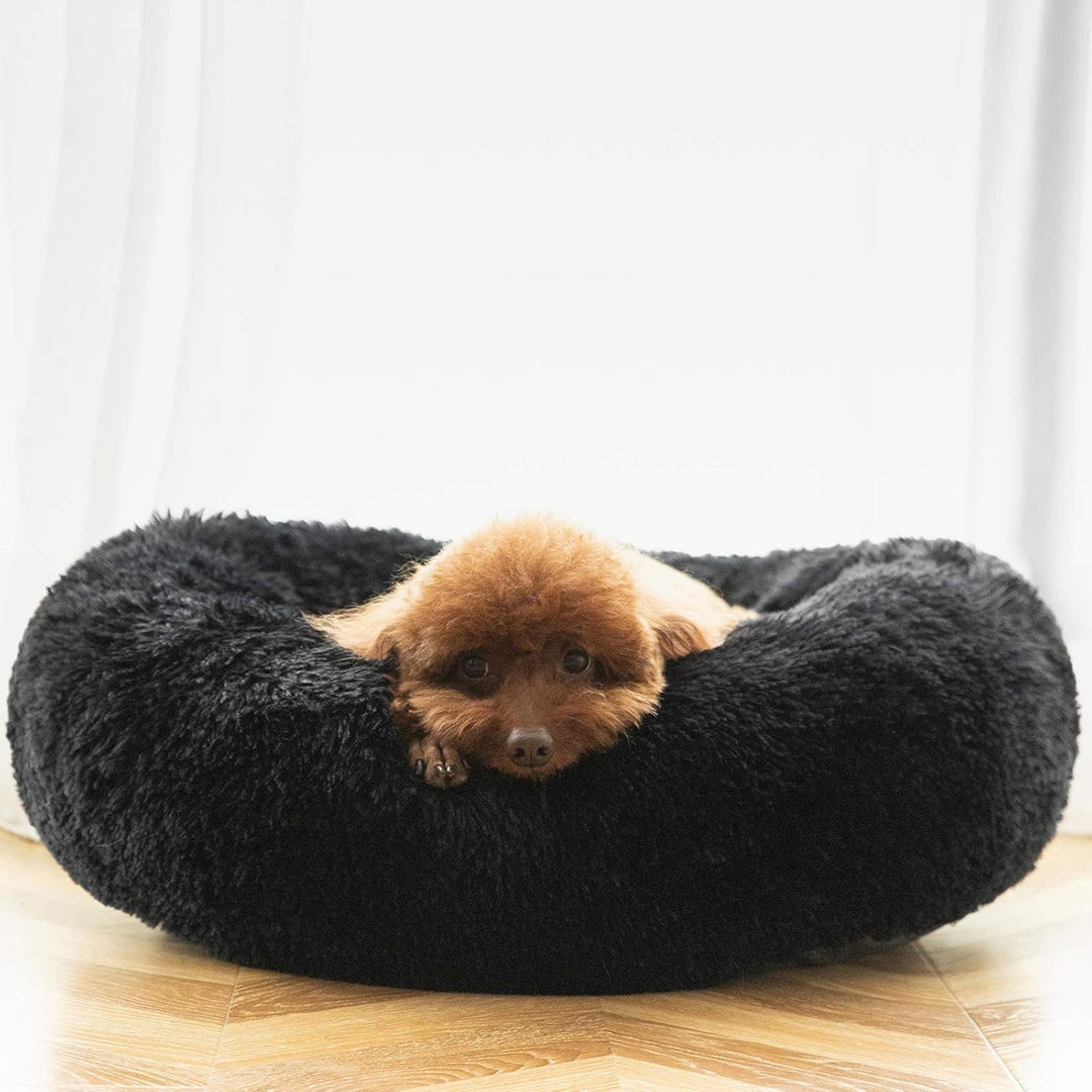HACHIKITTY Tierhaarschneidemaschine Hundeschermaschine M (24 X 24") schwarz, M (24 X 24") schwarz