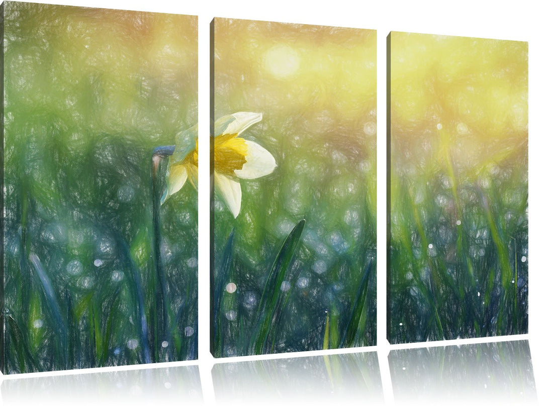Pixxprint Narzissenblume in der Morgensonne Kunst Buntstift Effekt 3-Teiler Leinwandbild 120x80 Bild