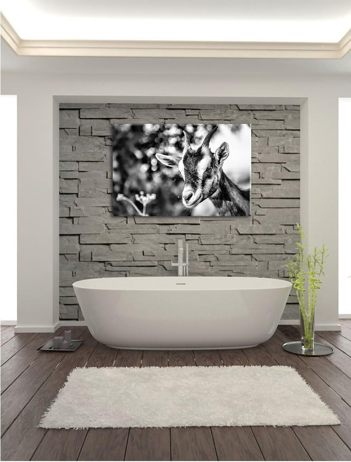 Pixxprint Niedliche Ziege / 100x70cm Leinwandbild bespannt auf Holzrahmen/Wandbild Kunstdruck Dekora