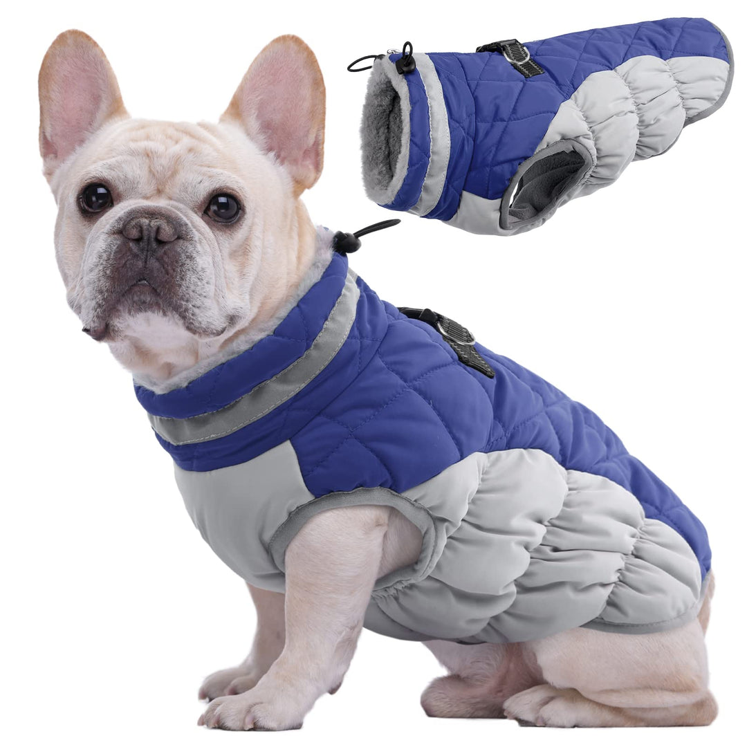 Kuoser Hundejacke Hundemantel für Kleine Hunde Winterweste, Wasserdicht Hunde Wintermantel Jacke Win