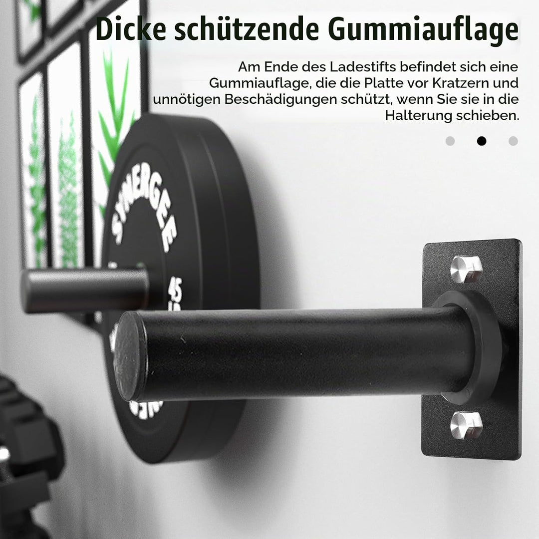 2 Stück Hantelscheibenständer, 50MM Hantelscheiben Halterung wandmontiert Wall Mounted Weight Plate