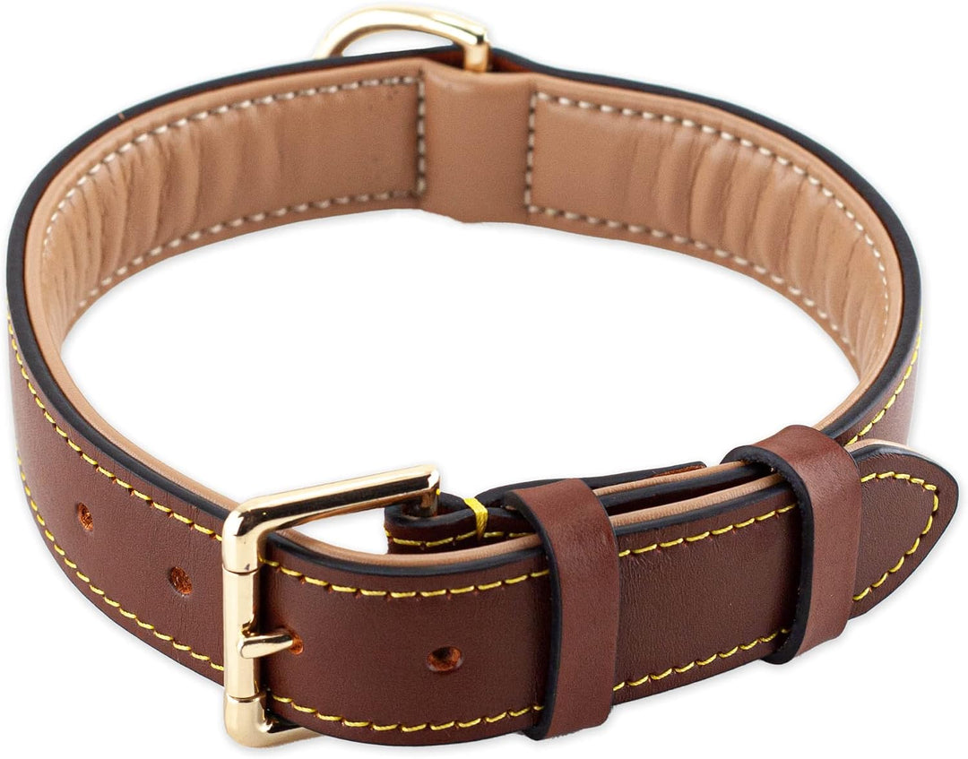 Brute Strength Hundehalsband aus Leder - Braun - XL - 56-63 cm XL - 56-63 cm Braun, XL - 56-63 cm Br