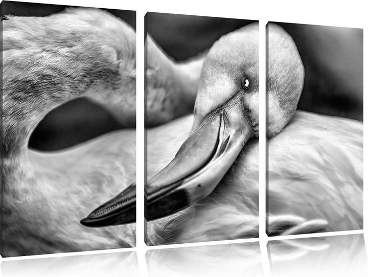 Pixxprint schöner Flamingo als Leinwandbild | Grösse: 3 Teilig (120x80) | Wandbild| Kunstdruck | fer