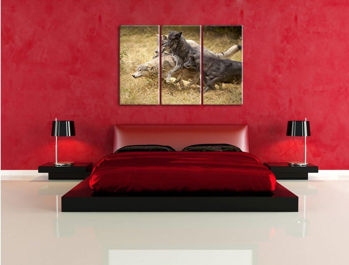 Pixxprint Tobendes Wolfsrudel als Leinwandbild | Grösse: 3 Teilig (120x80) | Wandbild| Kunstdruck |