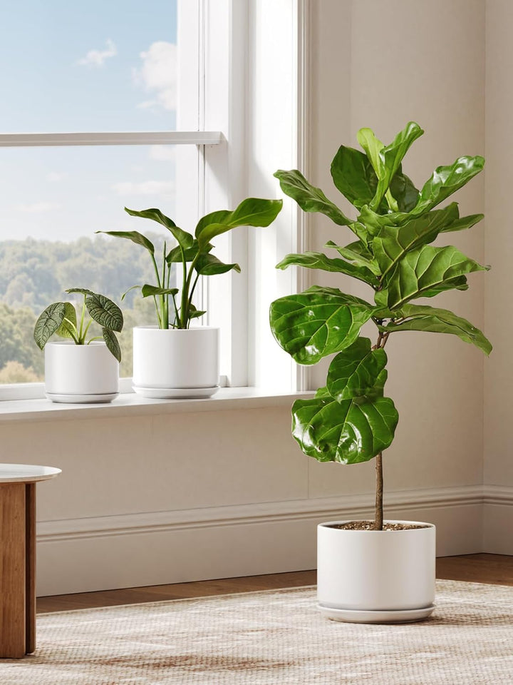 LE TAUCI 2er Pack Keramik Blumentopf Gross, 20+25 cm Durchmesser gross Töpfe Set, übertöpfe für Zimm