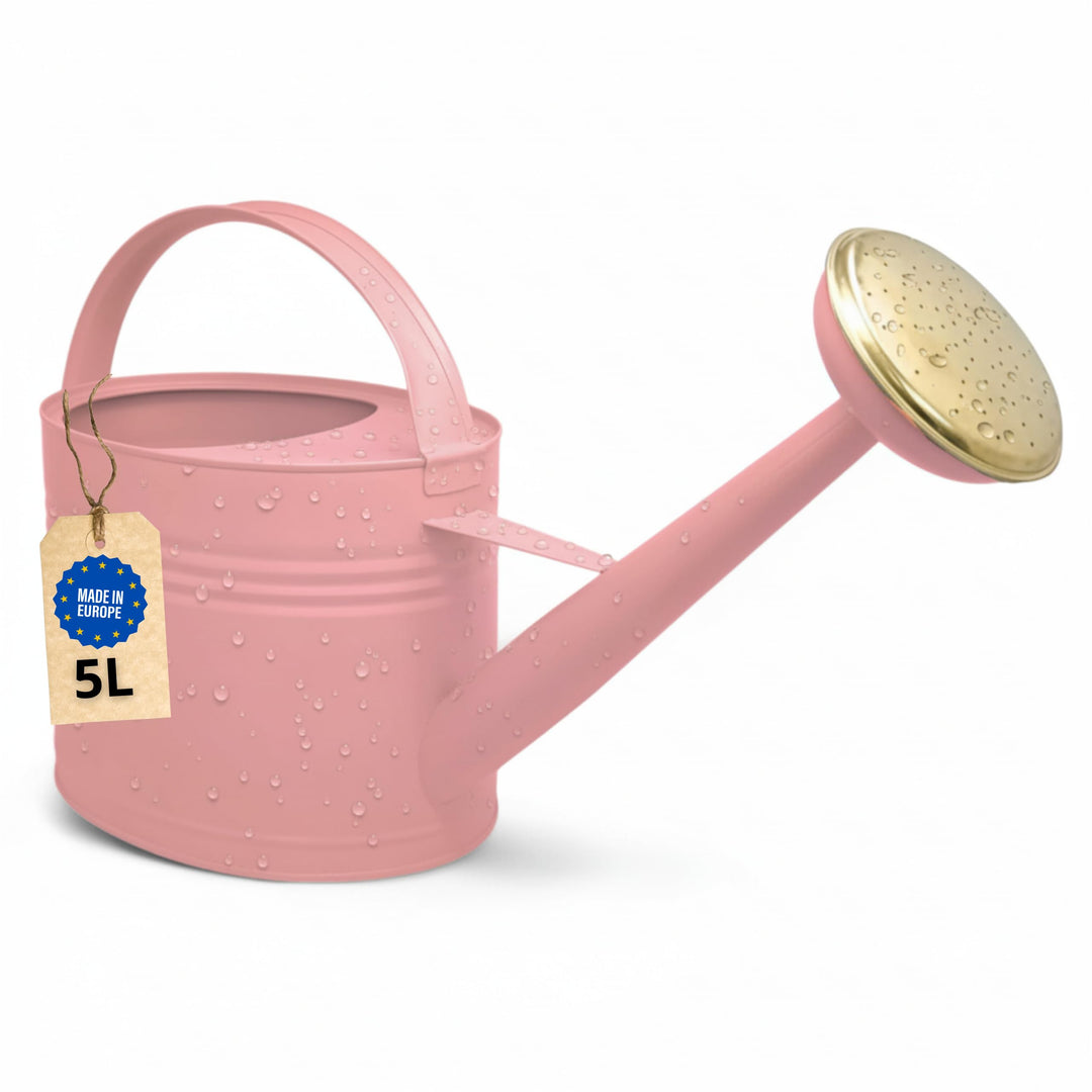 LIVLIG Giesskanne 5 Liter, Blumengiesskanne für Garten & Balkon, Hochwertige Metallgiesskanne 5L aus
