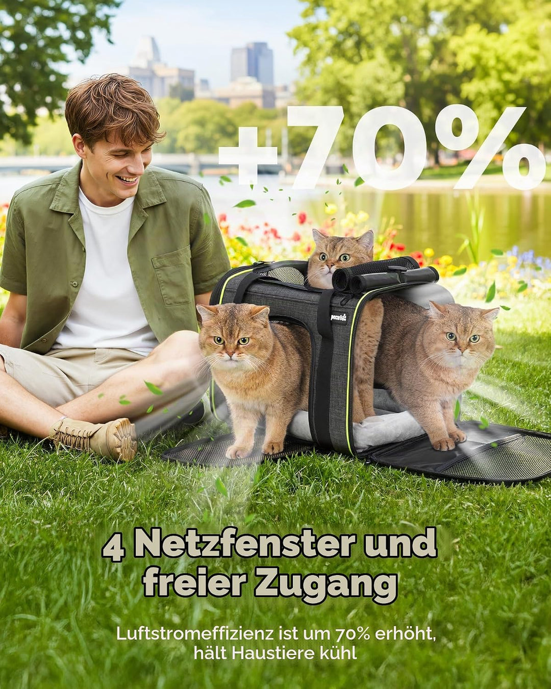 pecute Transportbox Katze,Katzen Transportboxen mit Haustiernest, Faltbare Katzentasche Transporttas