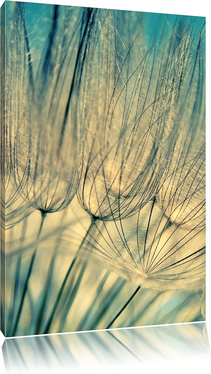 Pixxprint Pusteblumen, Format: 100x70 auf Leinwand, XXL riesige Bilder fertig gerahmt mit Keilrahmen