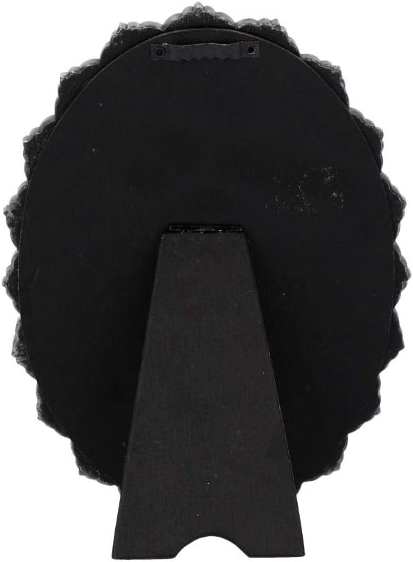 Nemesis Now Schönes Wandschild, 24 cm, grau, Polyresin, 22 cm