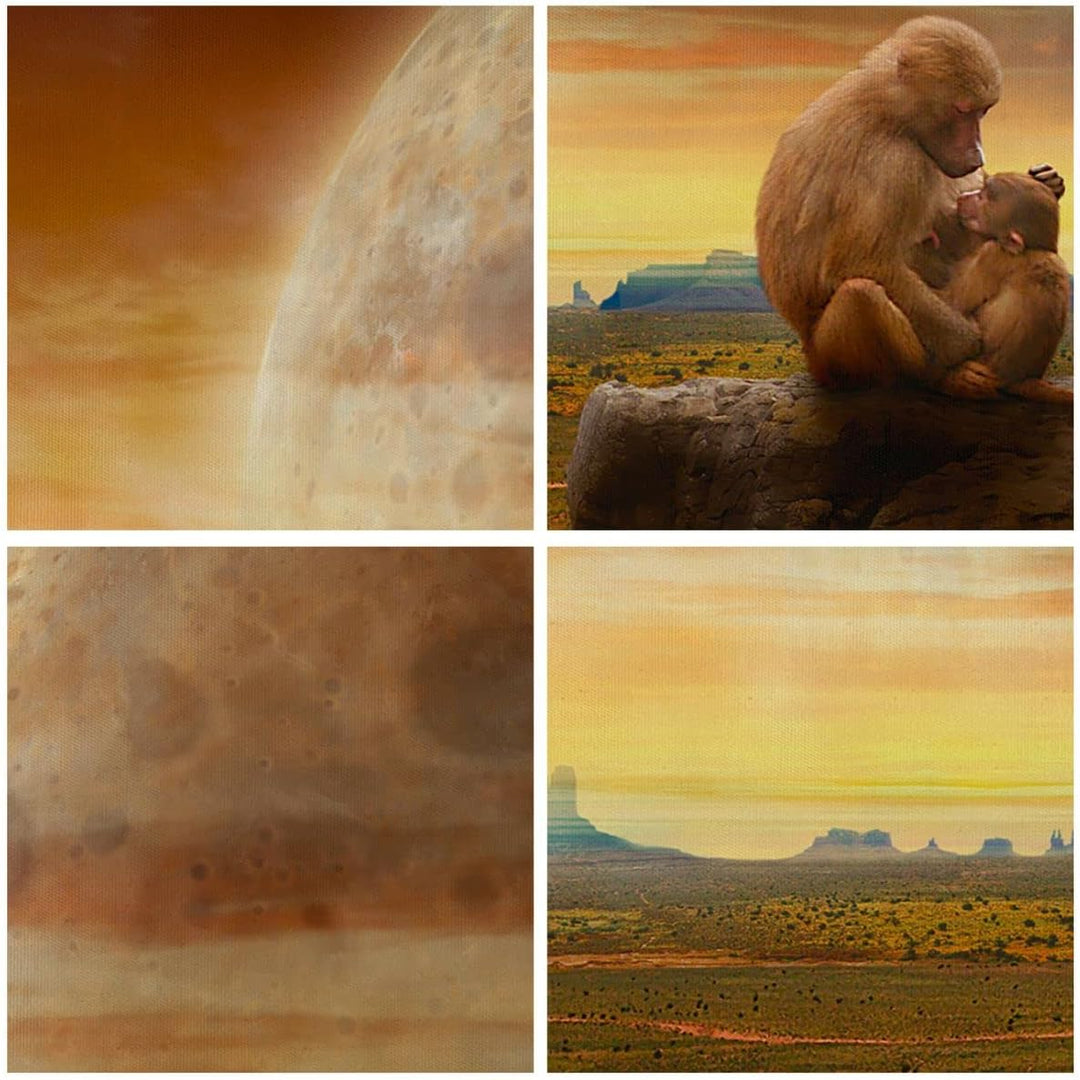 Wandbilder Dekoration Wohnzimmer Affen Mutter Natur Berg Panorama Bilder auf Leinwand 120x50cm Leinw