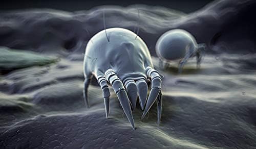 Allergiker Milben Bettwäsche Oberbett-Bezug, Encasing Milbenkotdicht 220 x 240 cm, Milbenschutz für