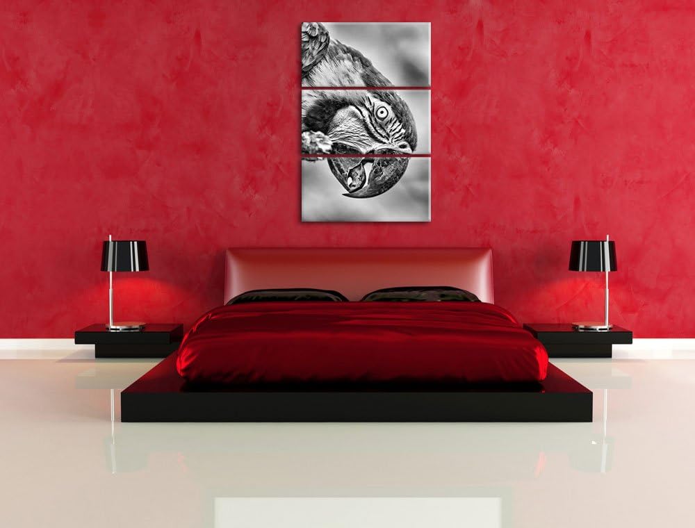 Pixxprint schöner Gelbbrustara als Leinwandbild/Grösse: 3 Teilig (120x80) cm/Wandbild/Kunstdruck/fer