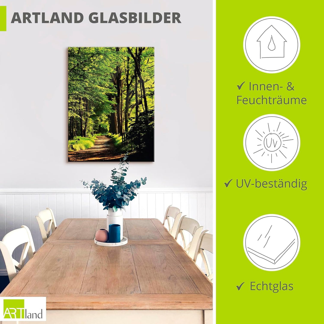 Glasbilder Wandbild Glas Bild einteilig 45x60 cm Hochformat Natur Wald Bäume Frühling Spaziergang La