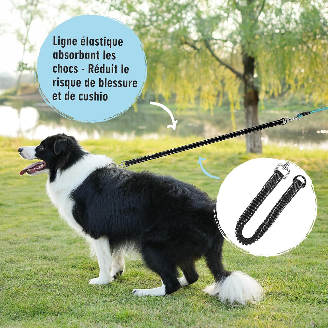 Aystkniet Bungee Schleppleine für Hunde 3M 5M 9M 10M 15M 20M 30M, Schockabsorbierende Hundeleine mit