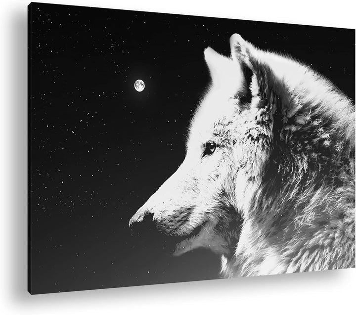 deyoli einsamer stolzer Wolf Format: 80x60 Effekt: Schwarz&Weiss als Leinwandbild, Motiv fertig gera