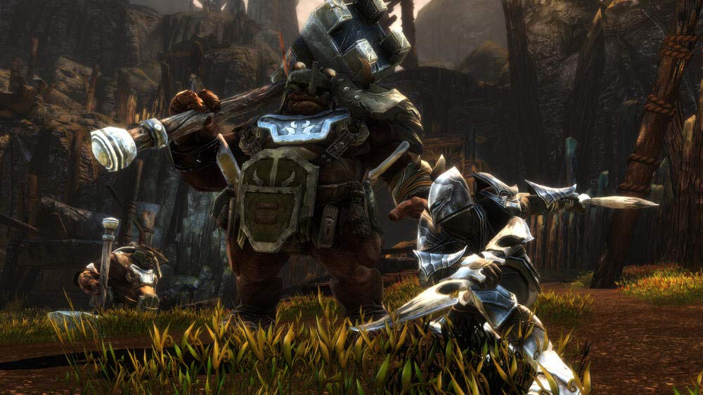 Kingdoms of Amalur Re-Reckoning PS4