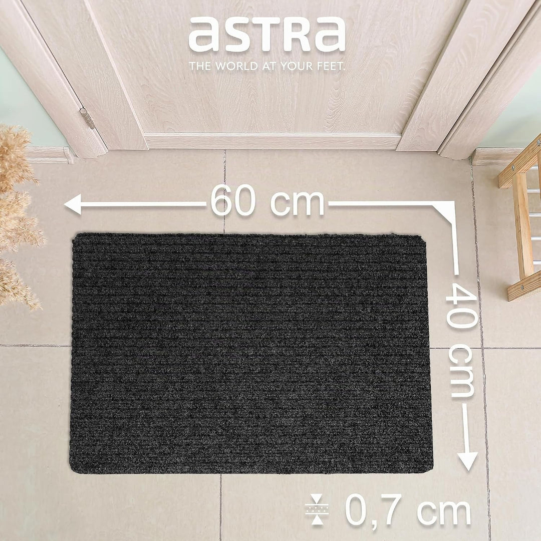 Astra Fussmatte innen anthrazit Schmutzfangmatte rutschfest – Türmatte 40x60 cm wasserabweisend – Ri