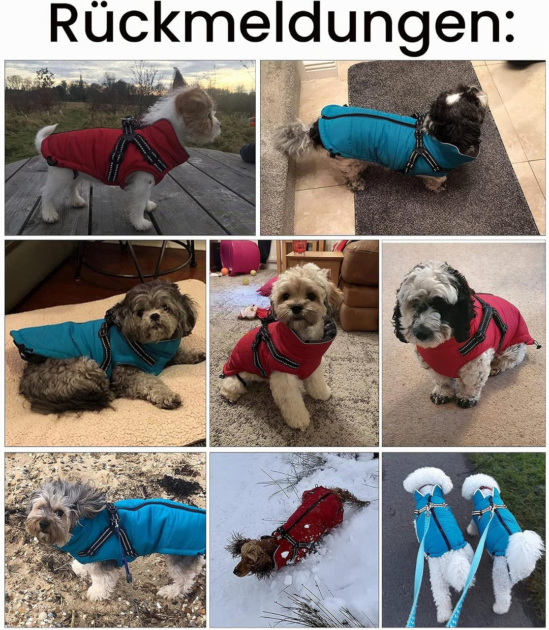 Pethiy -Super Warm Hunde wintermäntel mit Geschirr, Hundejacke mit Innenfleece, Wasserdichte Kleine