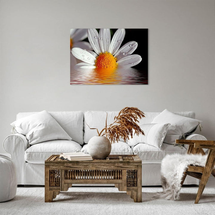 Bilder auf Leinwand Kraut Kamille Blume Wasser Leinwandbild 70x50cm Wandbilder Dekoration Wohnzimmer