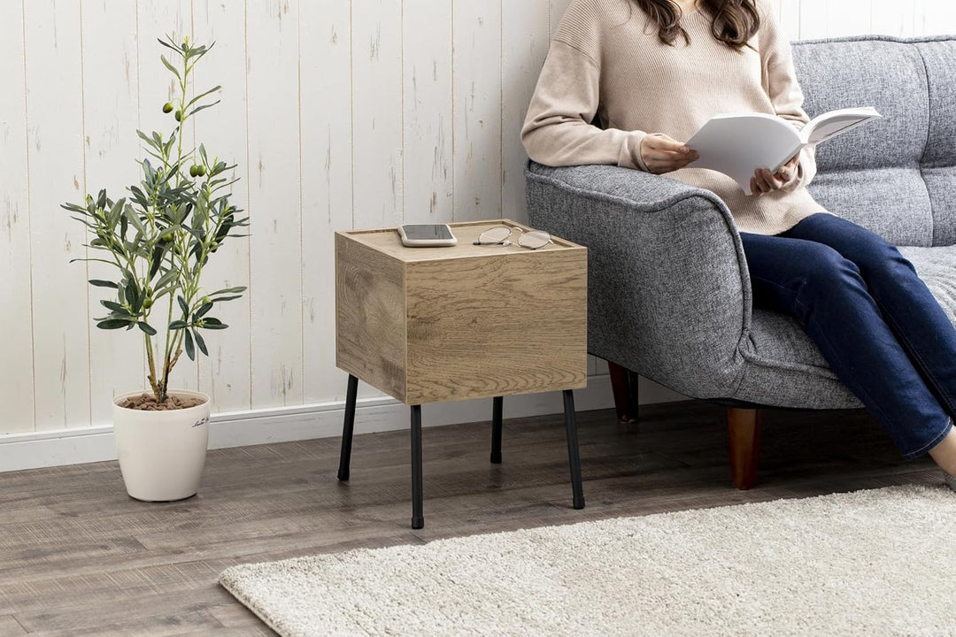 Iris Ohyama, Regal/Kleines Aufbewahrungsmöbel, Set mit 2 Beistellmöbeln, Design, Solide, Büro, Haus