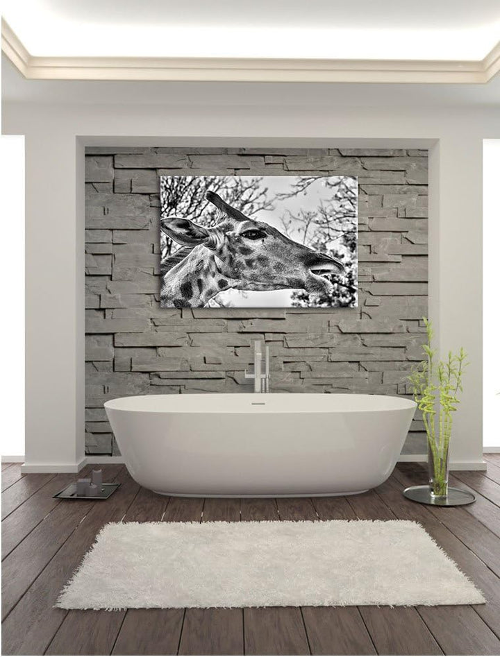 Pixxprint Monocrome, anmutige Giraffe isst, Format: 100x70 auf Leinwand, 100x70