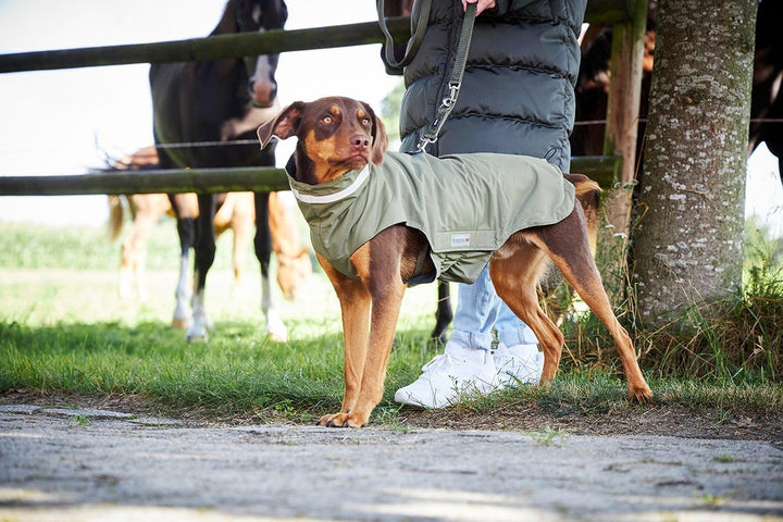 Wolters Outdoorjacke Modern Classic, Grösse:26 cm, Farbe:Olive 26 cm olive, 26 cm olive