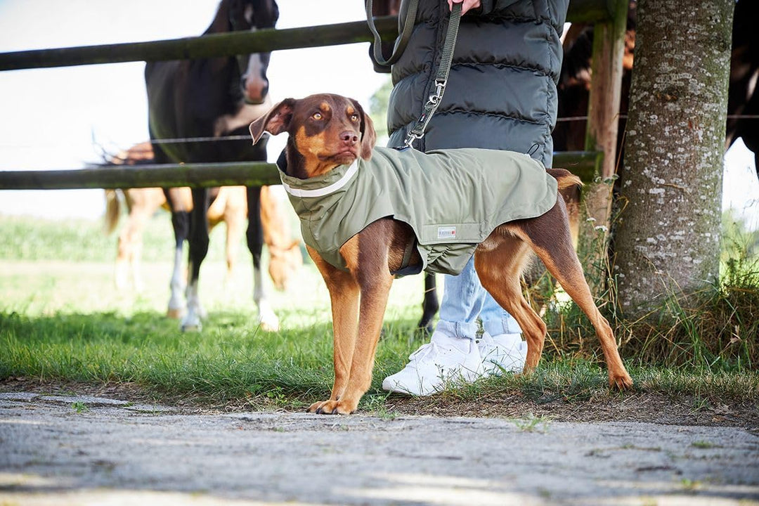 Wolters Outdoorjacke Modern Classic, Grösse:46 cm, Farbe:Olive 46 cm olive, 46 cm olive