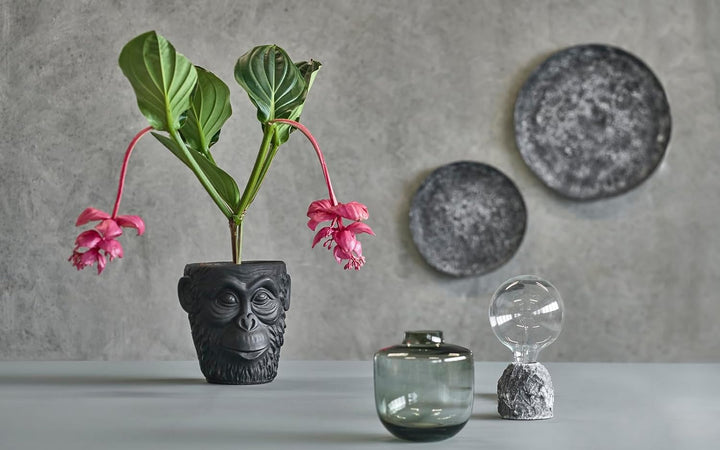 Villa Collection Daun Vase Dia. 15 x 16 cm Grau Glas 16,5 cm - dia. 15 cm Grau, 16,5 cm - dia. 15 cm