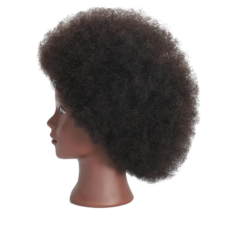 Afro Curly Mannequin Head with 100% Human Hair Curly Hair Friseur Hair Styling Cosmetology Mannequin