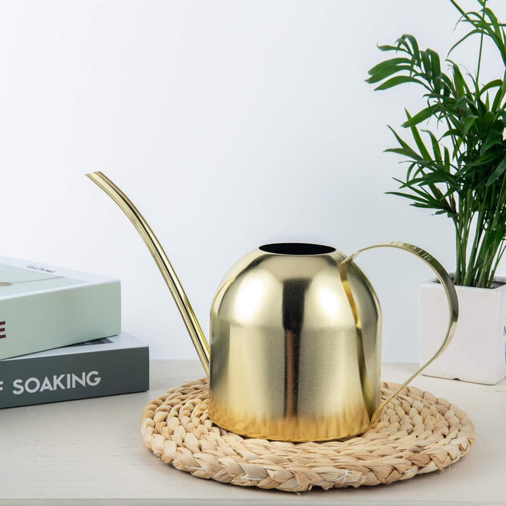 IMEEA 900ML Edelstahl Giesskanne, Zimmergiesskannen Moderner Blumengiesskanne mit Langer Auslauf für