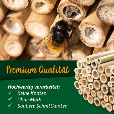 GARDIGO® Bambusröhrchen für Insektenhotel - 300 Stück | Premium Qualität | Niströhren für Wildbienen