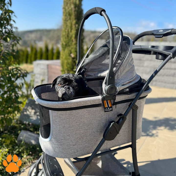 MY DUQUE – Modell CECE 2 in 1 Hundebuggy und Transportbox für Hunde | Faltbare Hundebox mit Extrakor