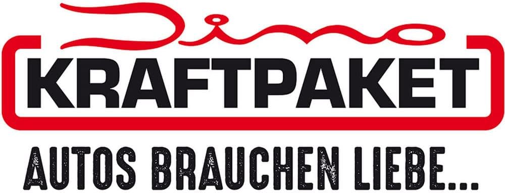 Dino KRAFTPAKET 21mm-950W Exzenter Poliermaschine Set (12-Teile) mit 125mm 150mm Stützteller und vie