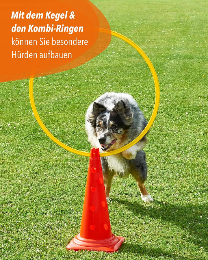 Kombi Kegel 50 cm – 4 im Set – Parcours-Hindernis für Agility-Training – Sprung- & Slalom-Hütchen fü