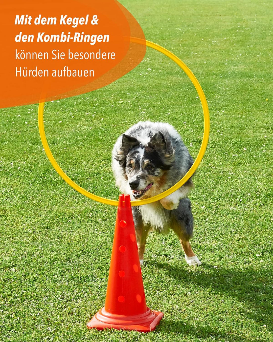 Kombi Kegel 50 cm – 4 im Set – Parcours-Hindernis für Agility-Training – Sprung- & Slalom-Hütchen fü