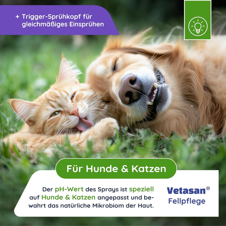 Fellpflege Spray (250ml + Fellbürste), 250ml + Fellbürste