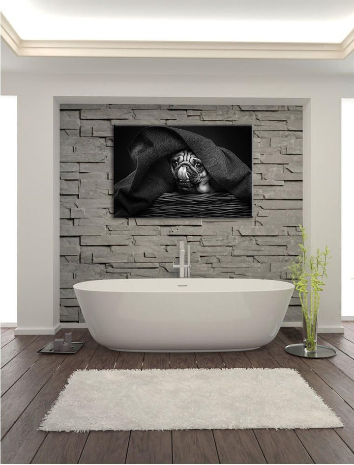 Pixxprint Süsser Mops unter der Decke Kunst B&W, Format: 100x70 auf Leinwand, 100x70