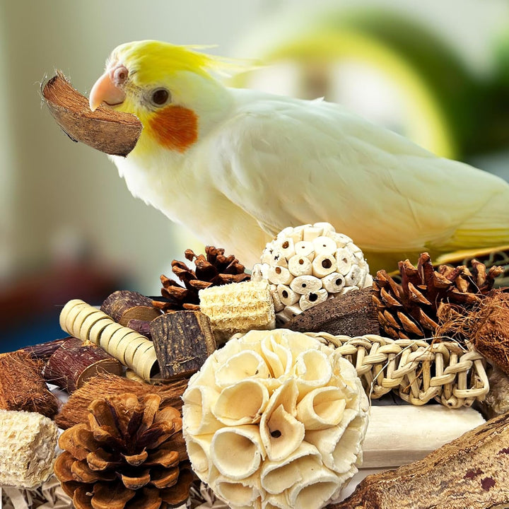 Felicify Vogelspielzeug, Papageienspielzeug, Papagei Kauspielzeug, Kaubare Vogel Spielzeug, Vogelkäf