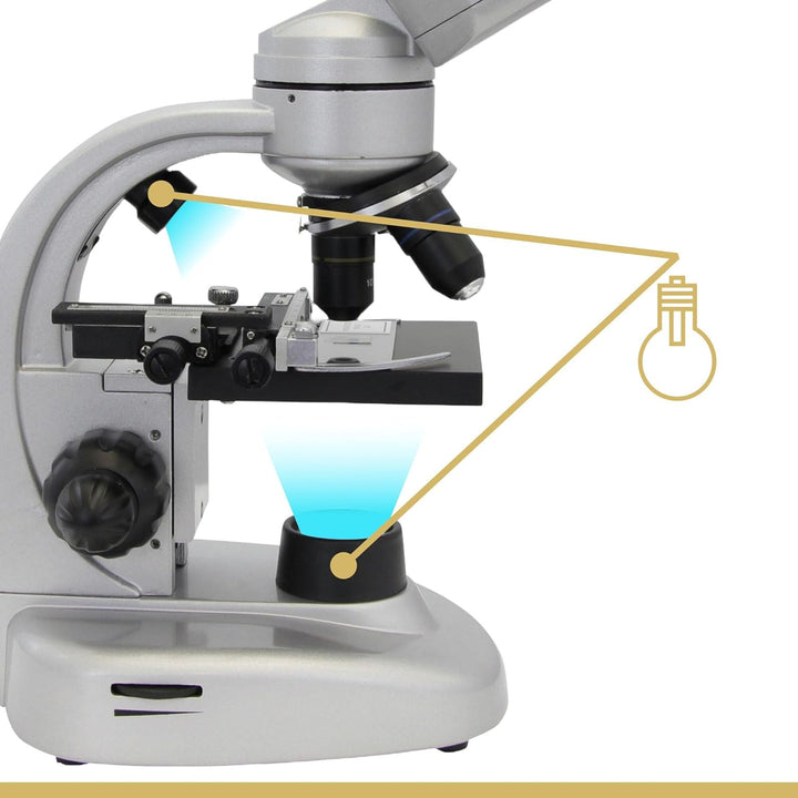 Omegon Mikroskop Binofield, 40x-800x, LED | Präzise Beobachtungen mit beidäugigem Sehen | Für Schule