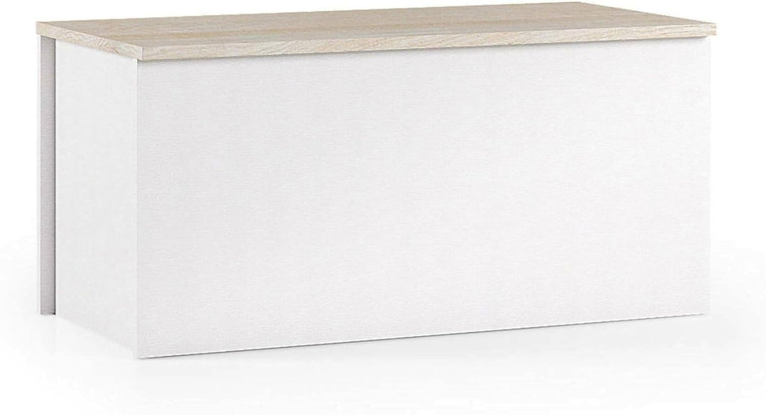 Dmora - Koffer Miltonia, Geräumige Mehrzweck - Aufbewahrungsbox, Moderne Brust, 100% Made in Italy,