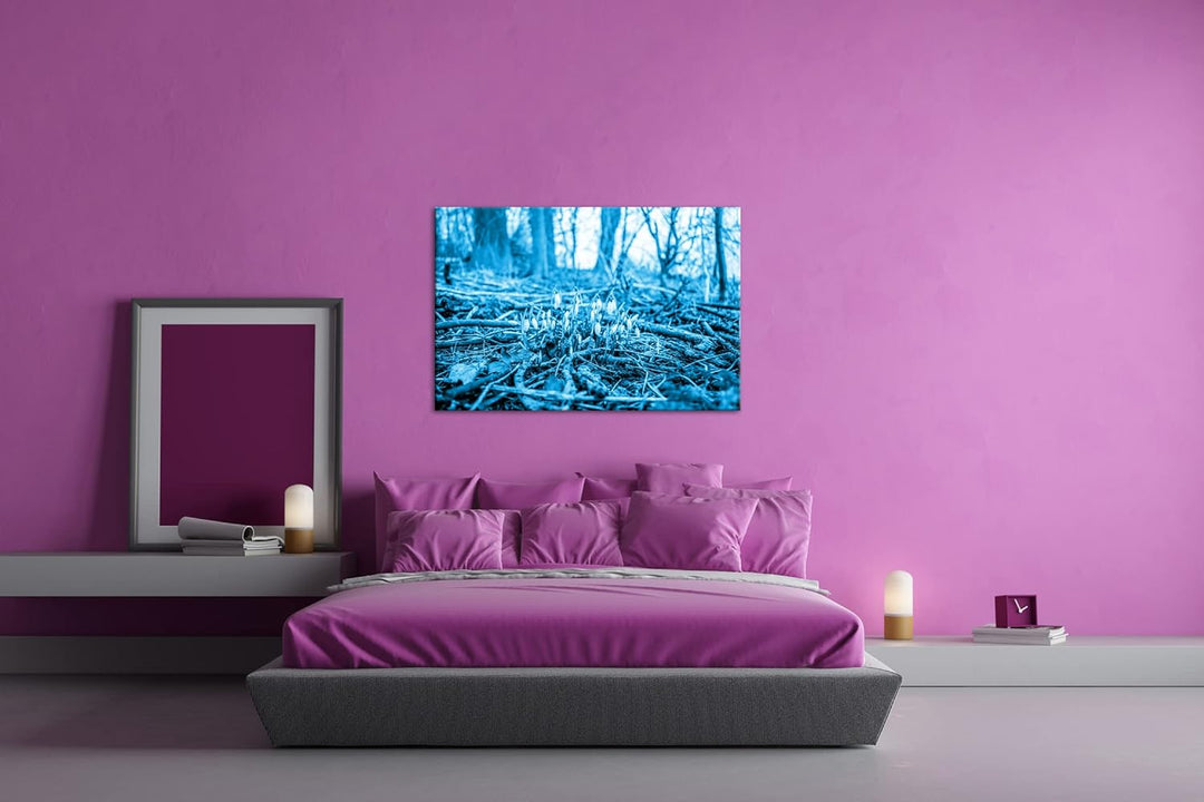 deyoli Der Frühling kommt - wachsende Schneeglöckchen Format: 80x60 Effekt: Monocrome Blau als Leinw
