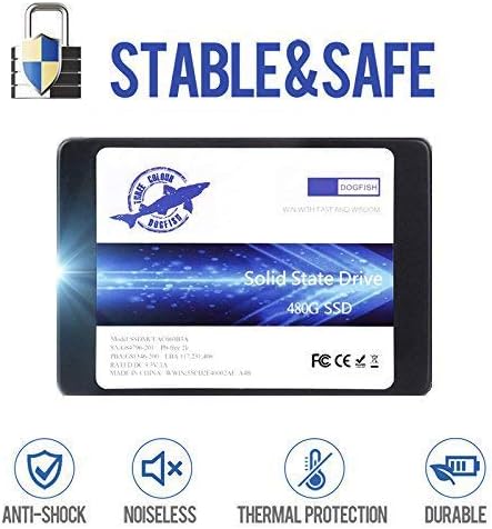 Dogfish SSD 250GB SATA3 2.5 Inch Unidad de Estado sólido incorporada 7MM Height MLC TLC High Speed (