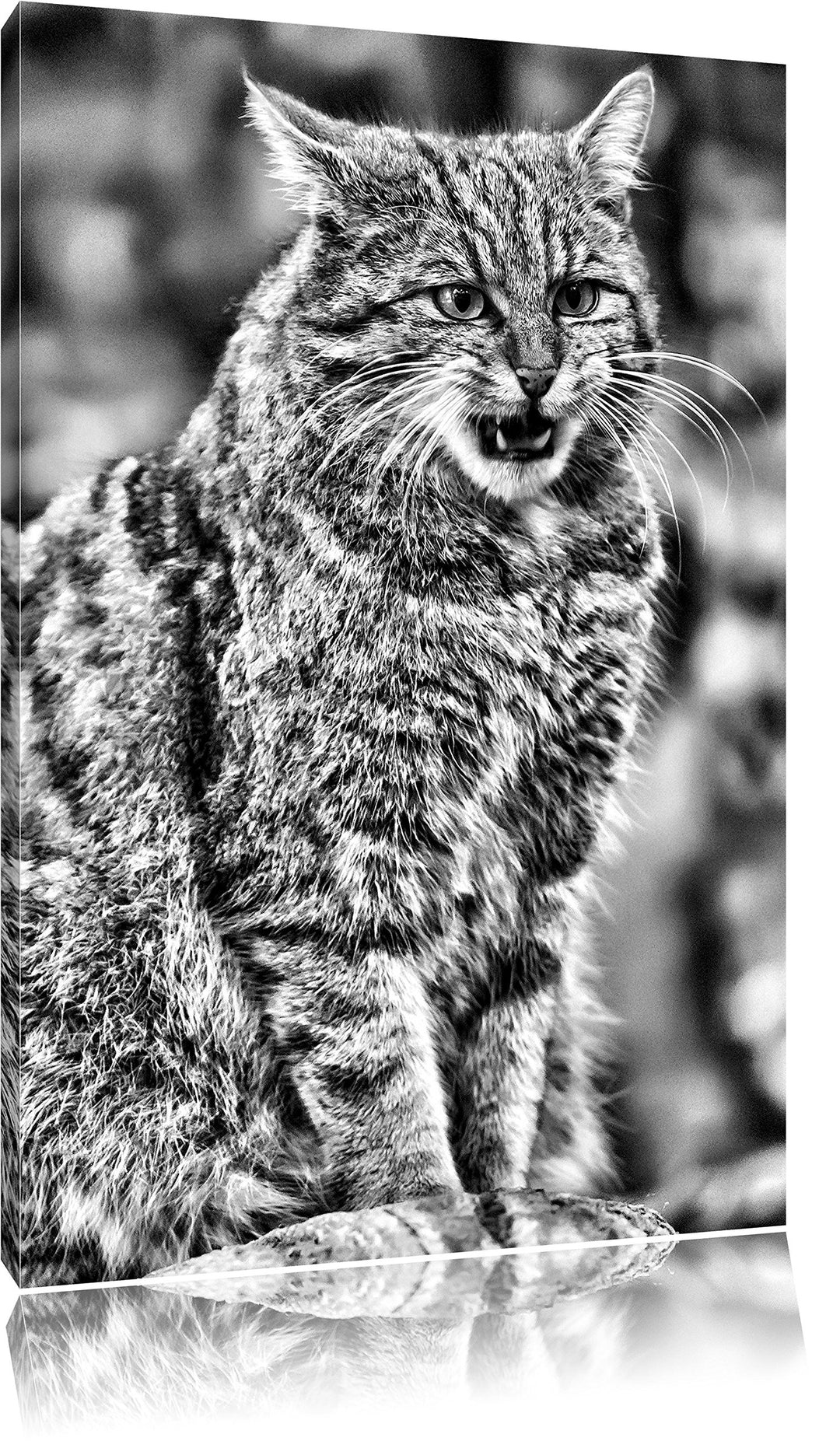 Pixxprint Manul auf Baumstamm / 100x70cm Leinwandbild bespannt auf Holzrahmen/Wandbild Kunstdruck De