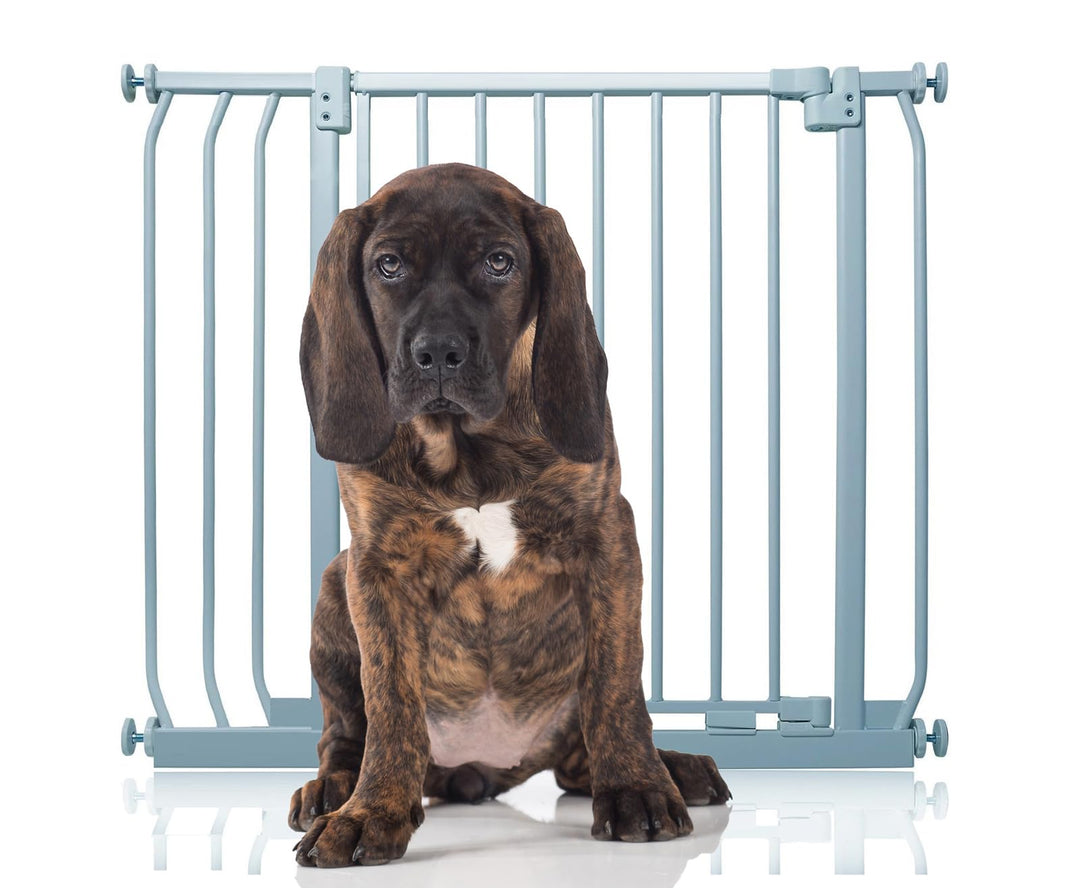 Bettacare Elite Hundegitter, 80cm - 89cm, Matt Grau, Druckbefestigung Hundegitter für Hunde und Welp