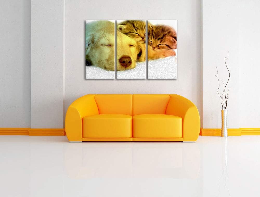 niedlicher Welpe kuschelt mit süssen Kätzchen schwarz/weiss 3-Teiler Leinwandbild 120x80 Bild auf Le