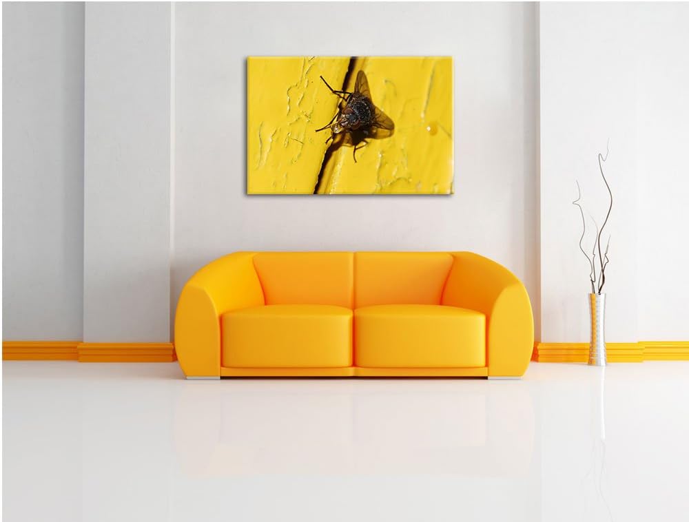 Pixxprint kleine Fliege mit Tautropfen auf Leinwand, XXL riesige Bilder fertig gerahmt mit Keilrahme