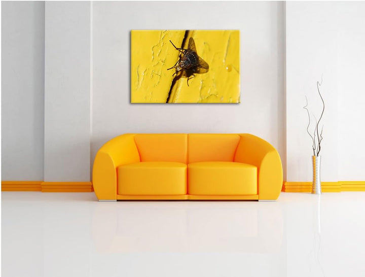 Pixxprint kleine Fliege mit Tautropfen auf Leinwand, XXL riesige Bilder fertig gerahmt mit Keilrahme
