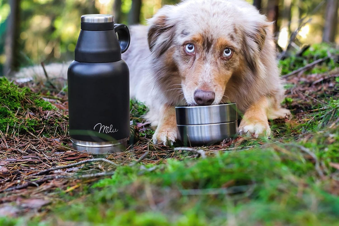 Milu Trinkflasche Hunde für Unterwegs 950ml - Wasserflasche mit Futternapf, Isolierte Edelstahl Hund