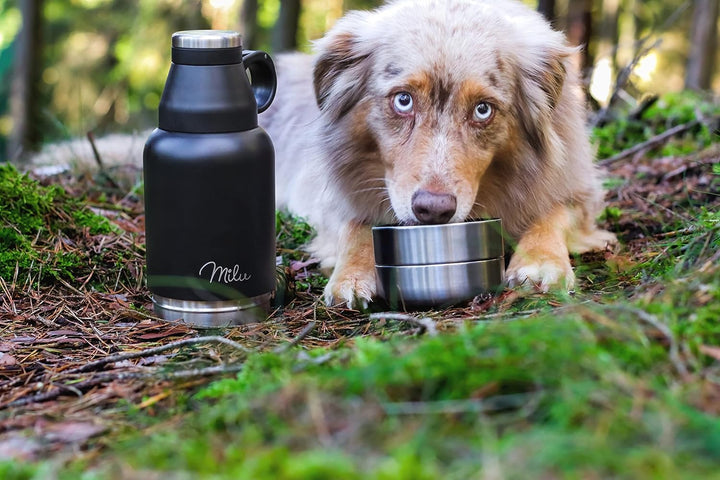 Milu Trinkflasche Hunde für Unterwegs 950ml - Wasserflasche mit Futternapf, Isolierte Edelstahl Hund