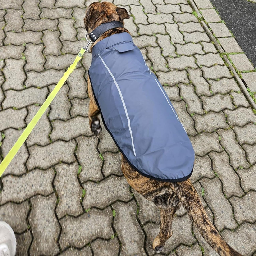 Mile High Life Hunderegenmantel Einstellbare wasserdichte Haustierkleidung Leichte Regenjacke mit re
